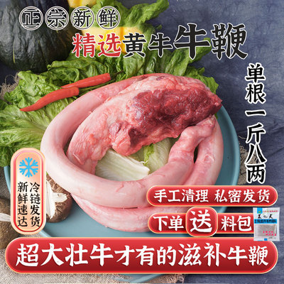 整根新鲜牛鞭纯鞭黄牛正宗滋补