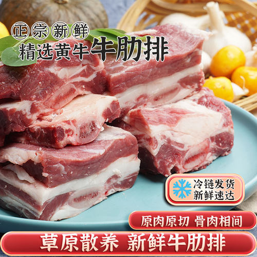 新鲜牛排骨牛肋条肉黄牛仔骨