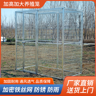 鸽笼鸽舍生态鸟笼大型鸟笼晒笼超大空间养殖笼观赏笼鹦鹉笼可定制