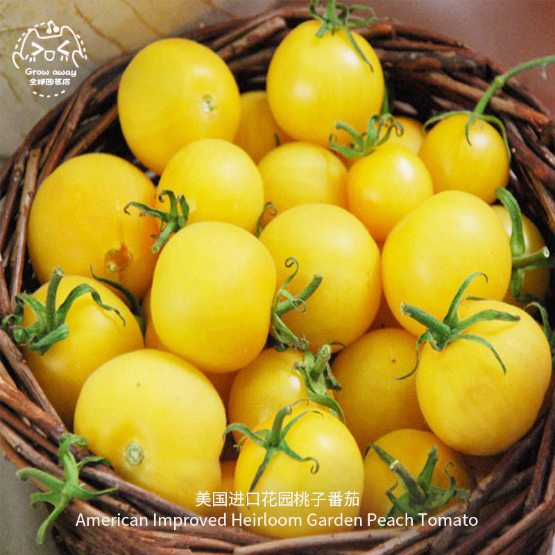 花园桃子番茄种子浓郁超甜传家宝