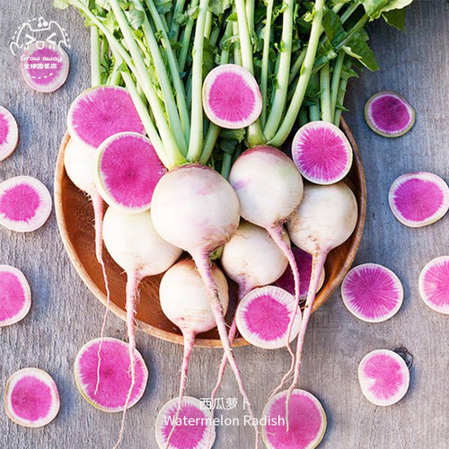 西瓜萝卜种子清脆多汁微甜浓郁