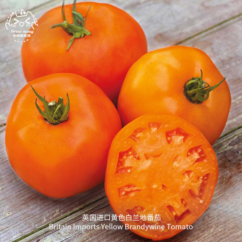 yellow Brandy tomato seed Imported Family heirloom fruit balcony Potted plant steak Tomatoes Vegetablesin the Flower delivery/Flowers simulation/Plants gardening , Flowers/Fruits and vegetables/Lawn seed (New) , Home &amp; Garden Seeds  category - from Buy2taobao.com to provide professional Taobao agent buy service