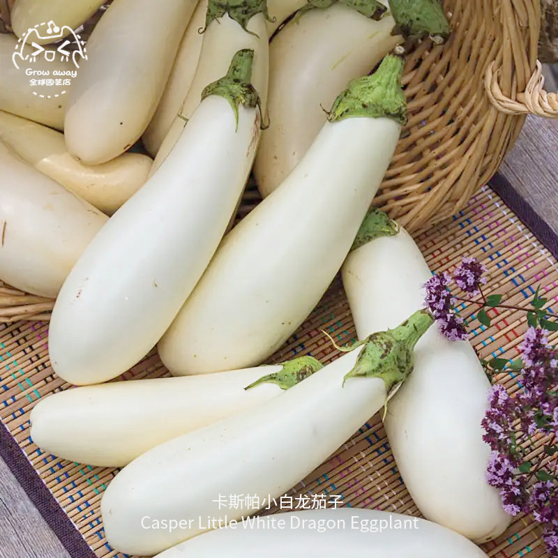 卡斯帕小白龙茄子清淡丝滑果肉温和传家宝春秋室内阳台盆栽易种,鲜花速递/花卉仿真/绿植园艺,家庭园艺种子,淘宝优惠券,粉丝福利购,淘宝优惠卷