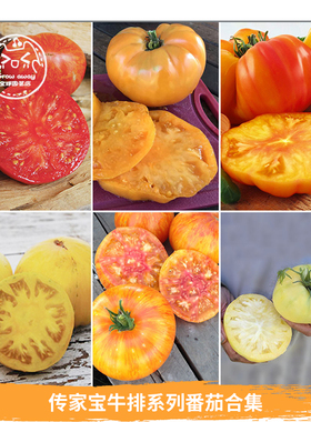 传家宝牛排大番茄种子合集紫切诺基白兰地马蹄可留种春秋阳台盆栽