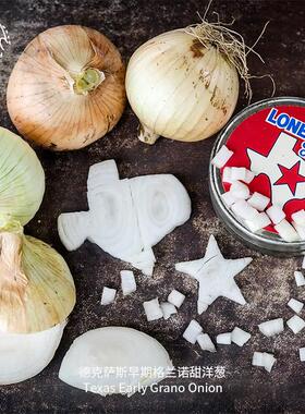 德克萨斯早期格兰诺甜洋葱种子皮薄多汁超甜抗性强传家宝蔬菜盆栽