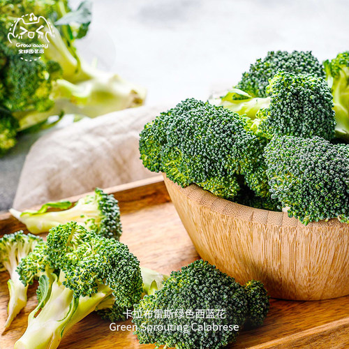 卡拉布雷斯绿西蓝花种子浓郁清脆