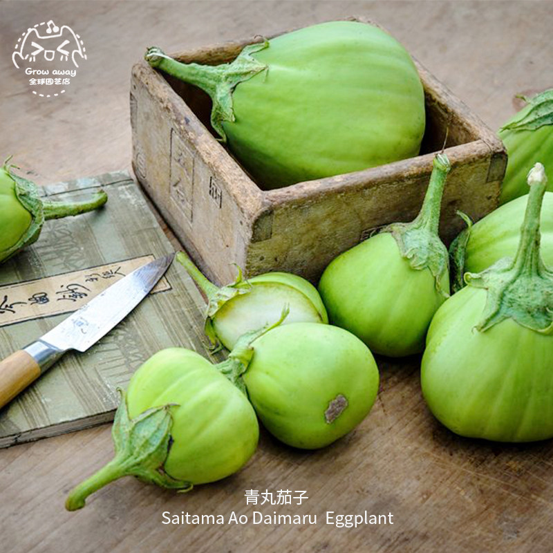 青丸茄子种子口感浓密果肉柔滑传家宝春秋室内阳台盆栽烹饪佳品,鲜花速递/花卉仿真/绿植园艺,家庭园艺种子,淘宝优惠券,粉丝福利购,淘宝优惠卷