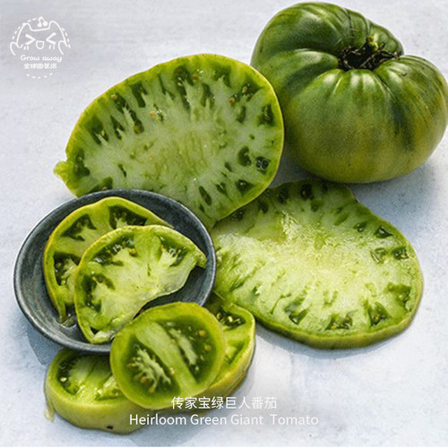 绿巨人牛排番茄种子高产浓郁多汁