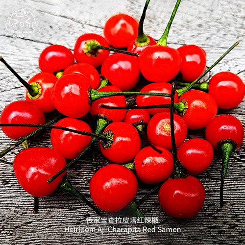 查拉皮塔辣椒种子高产果香传家宝