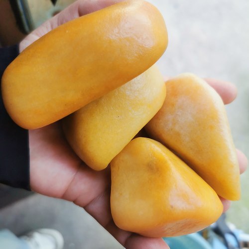 新疆戈壁奇石乌尔禾金丝玉原石籽料金丝石黄蜡石