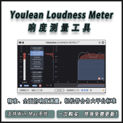 Youlean Loudness Meter 2 / Pro 专业响度测量工具音频混音插件
