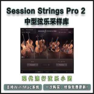 Session Strings Pro 2 现代中型弦乐采样库康泰音源智能演奏辅助