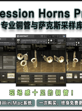 Session Horns Pro 专业铜管与萨克斯采样库康泰克音源长小大圆号