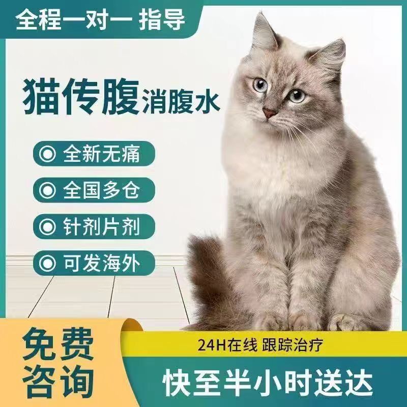 猫传腹针剂片剂喵咪大肚子消腹水湿性抑制剂干性湿性传腹,宠物/宠物食品及用品,猫特色保健品,淘宝优惠券,粉丝福利购,淘宝优惠卷