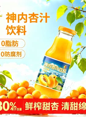 神内小白杏汁儿童健康果蔬汁0脂肪维C绿色食品新疆特产国货饮料