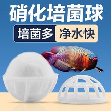 鱼缸过滤材料细菌屋陶瓷环生化球滴流盒养鱼用品培菌硝化毛球魔球