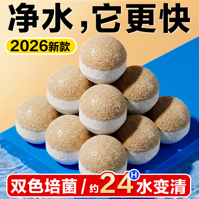 鱼缸过滤材料石英球培菌净水硝化细菌屋专用高端陶瓷环过滤石滤材