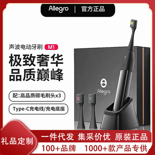 Allegro爱丽歌电动牙刷成人男女士高级磁吸底座中秋好礼情侣礼物
