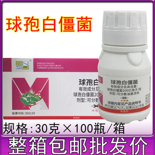 百农思达 球孢白僵菌200亿孢子悬浮剂 小菜蛾玉米螟农药杀虫剂