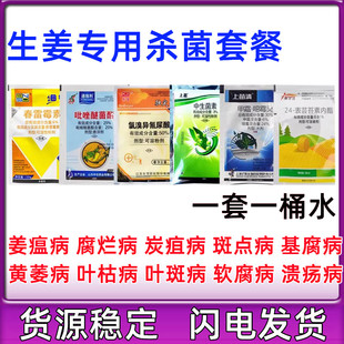 大姜增产套餐杀菌剂姜瘟病疫病软腐病黑胫病枯萎病生姜病害专用药