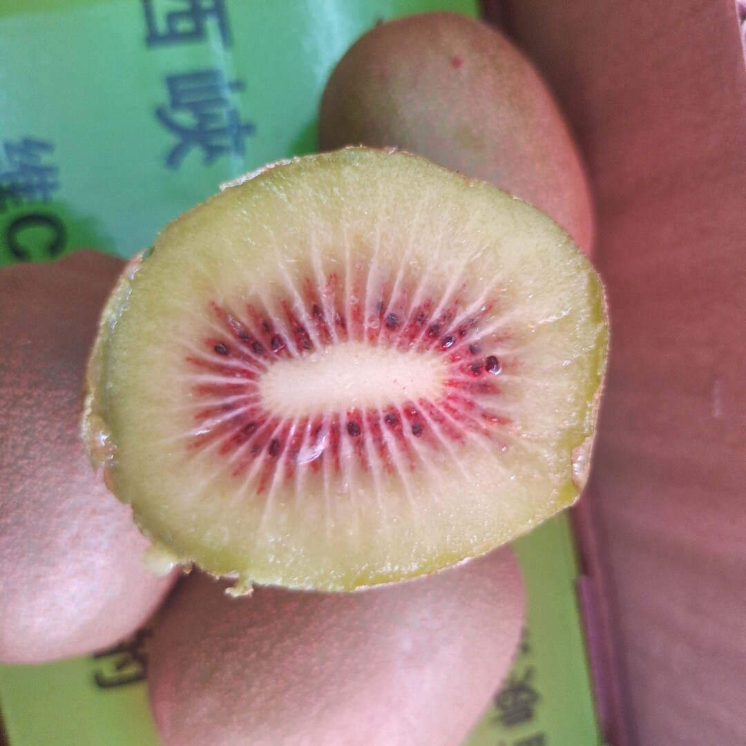 河南红心超甜产地现摘奇异果