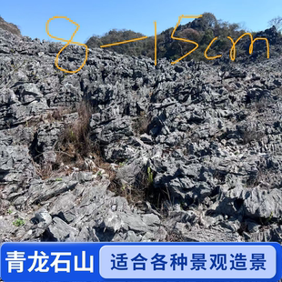 青龙石英石鱼缸装饰摆件造景石原石微景观石精品8-15cm混搭