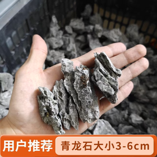 青龙石3-8㎝小块英石微景观苔藓盆景造景石原石精品