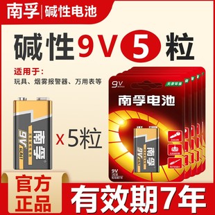 方块九伏6LR61烟雾报警器万用表电池6f22叠层方形玩具车儿童遥控器话筒麦克风干电池1604g 南孚电池9V碱性正品