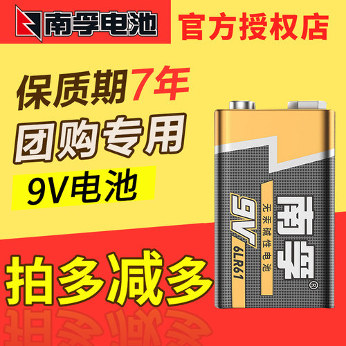 南孚碱性电池玩具9V6F22电动车