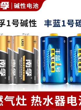 南孚1号电池D型一号大号碱性LR20热水器煤气灶专用液化气燃气炉灶天然气南浮1号电池南孚官方旗舰店燃气电池