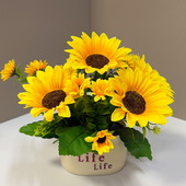 仿真向日葵花束假花摆设客厅餐桌小盆栽绿植室内装 饰品摆件玫瑰花