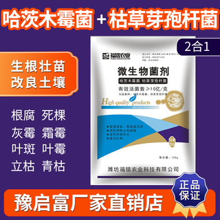 哈茨木霉菌微生物菌剂土传病害根腐草莓葡萄蔬菜枯草芽孢杆菌