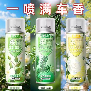 车内除异味除臭车用去味异味净化器杀菌剂汽车空调空气清新剂居家