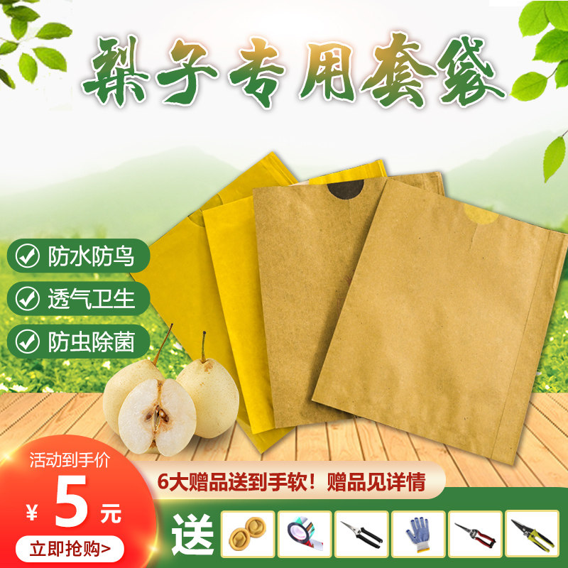 梨专用套袋黄金梨秋月梨纸袋子防雨水套袋防虫保护袋梨子水果套袋