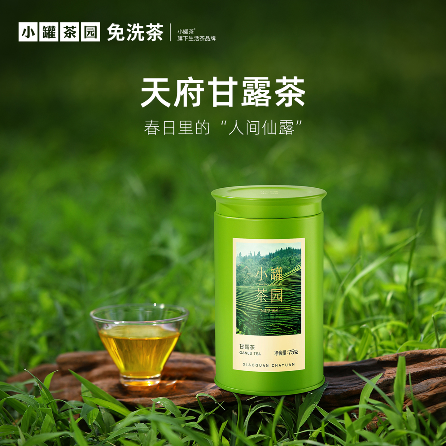 小罐茶园特级甘露茶75g