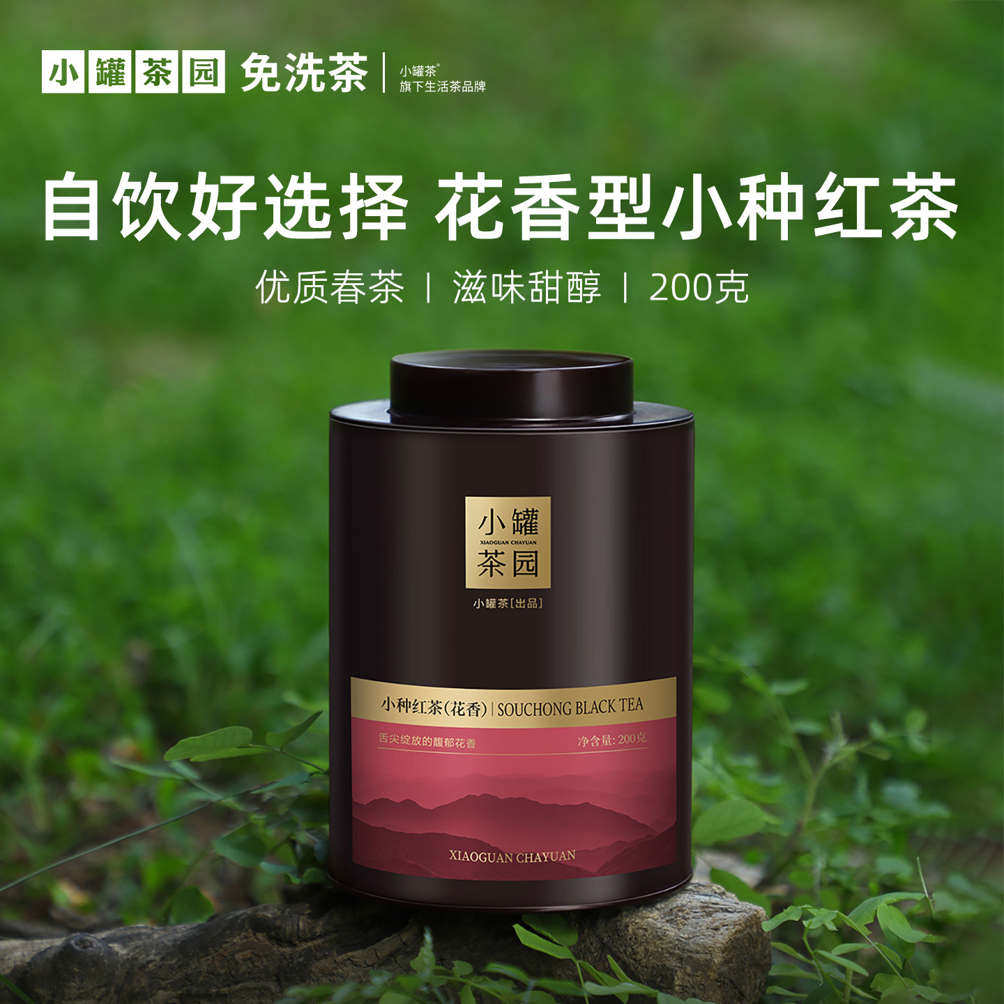小罐茶园云海系列一级小种红茶花香型大罐装200g自己喝官方旗舰店,茶,特色产区红茶,淘宝优惠券,粉丝福利购,淘宝优惠卷