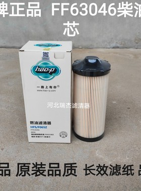 SW5552126柴滤FF63046.FH21302适用欧曼戴姆勒GTL超能版柴油滤芯