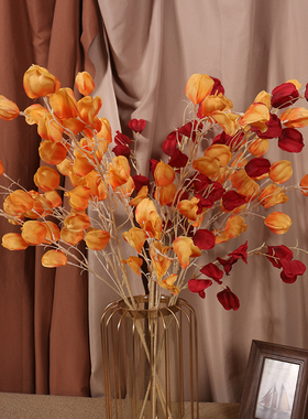 绢布果实花 仿真花橙色过年客厅家居婚房喜庆装饰 带垂感摄影道具