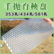 加厚手抛育秧盘水稻秧盆晚稻透明免揭塑料434孔561孔353抛秧