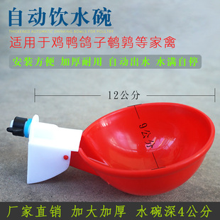 鸡用饮水碗家禽自动饮水器雏鸡喝水碗鸽子鹌鹑加厚大号喂水碗