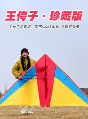 王侉子风筝珍藏版微风易飞544软伞布纯碳杆大型高档成人专业轻体