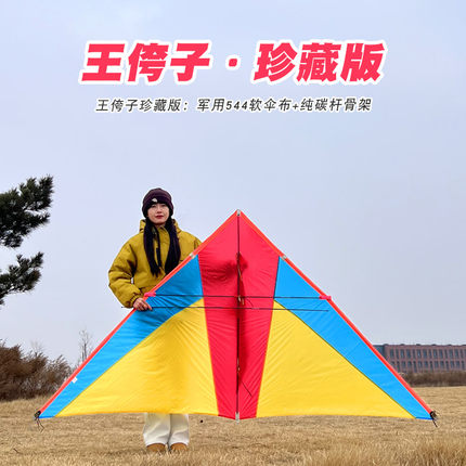 王侉子风筝珍藏版微风易飞544软伞布纯碳杆大型高档成人专业轻体