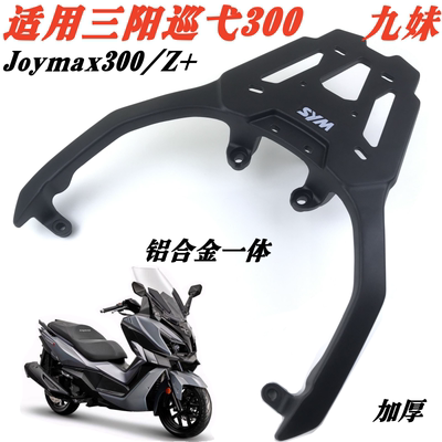 三阳巡弋/九妹/哈士奇300adv尾架