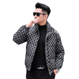 2025冬季立领加厚新款男士90白鸭绒羽绒服9807-P295模特图片