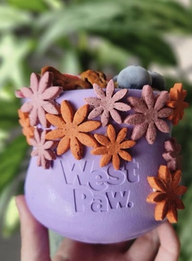 美国Westpaw西爪套乐多春季限定色狗狗丰荣漏食玩具