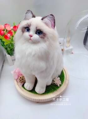 羊毛毡纯手工来图定制宠物猫全身玻璃罩摆件创意生活微景观纪念