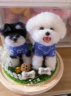 羊毛毡戳戳纯手工微景观