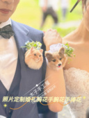 羊毛毡diy纯手工来图照片定制宠物猫猫狗狗结婚胸花胸针手腕花