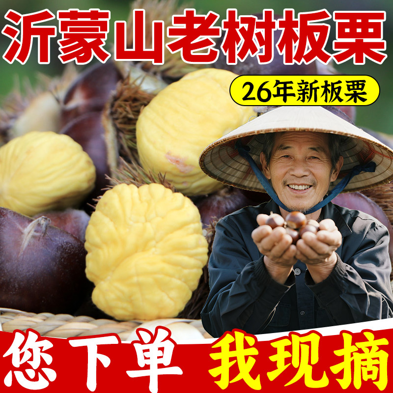 板栗生新鲜沂蒙山黄壤油栗2026年