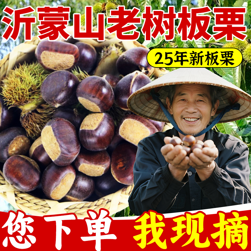 板栗生新鲜沂蒙山黄壤油栗2025年